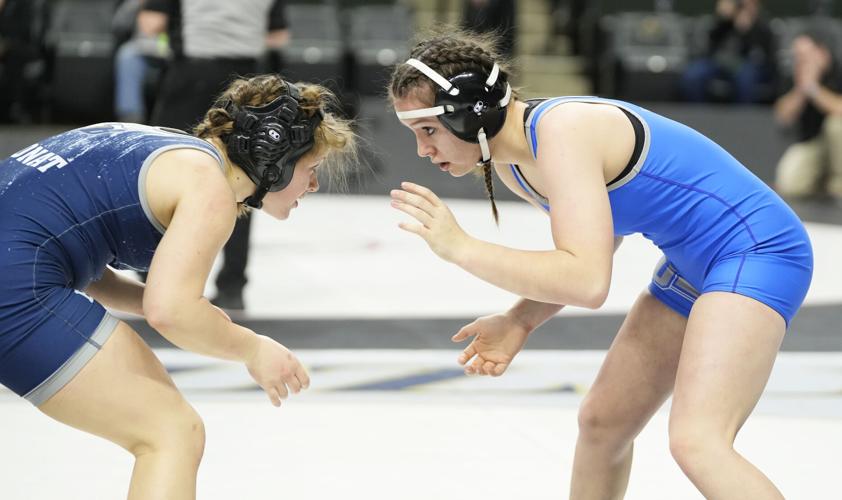 Fischer’s 5th place finish highlights state wrestling for the Huskies ...