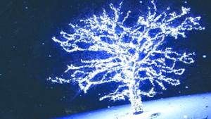 Lighted Tree Brings Joy To Many Traveling I 35 Near Medford Owatonna Peoples Press Southernminn Com