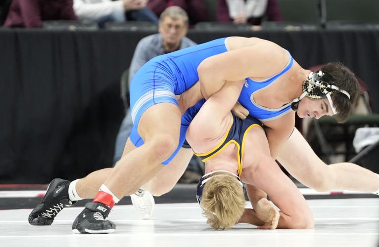 Fischer’s 5th place finish highlights state wrestling for the Huskies ...