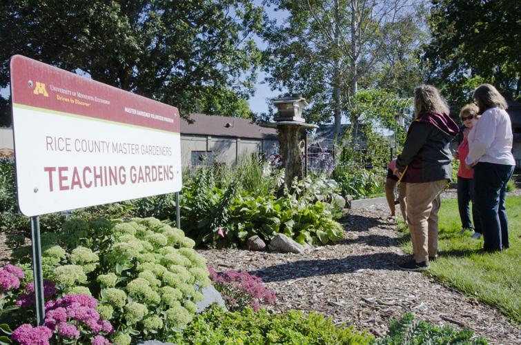 Teaching garden blossoms into bright spot for visitors, volunteers