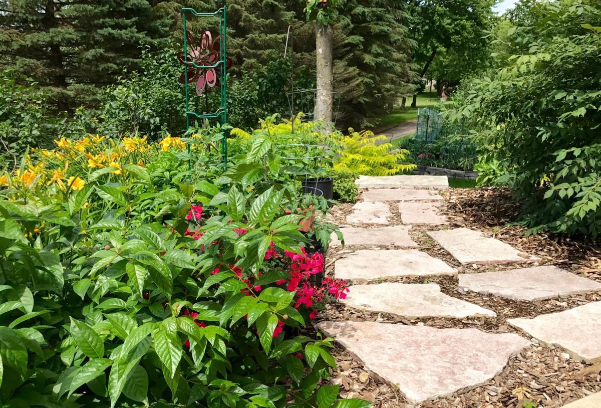 Roses Du Jardin Cheneland