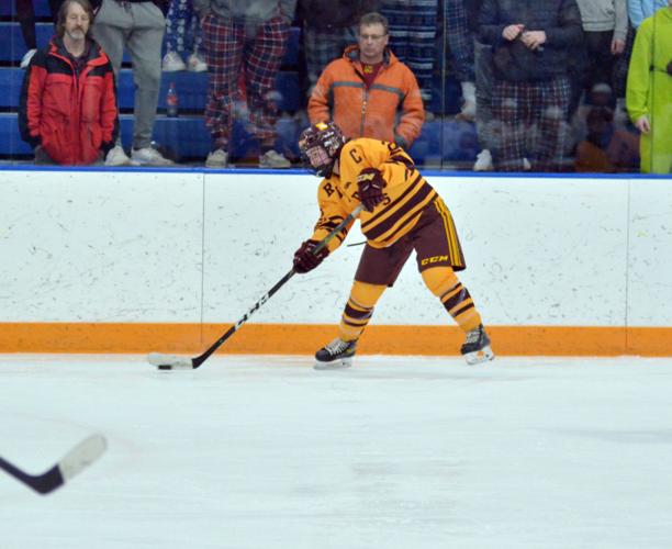Puppe's OT winner wins Section 1AA title, sends Northfield girls hockey