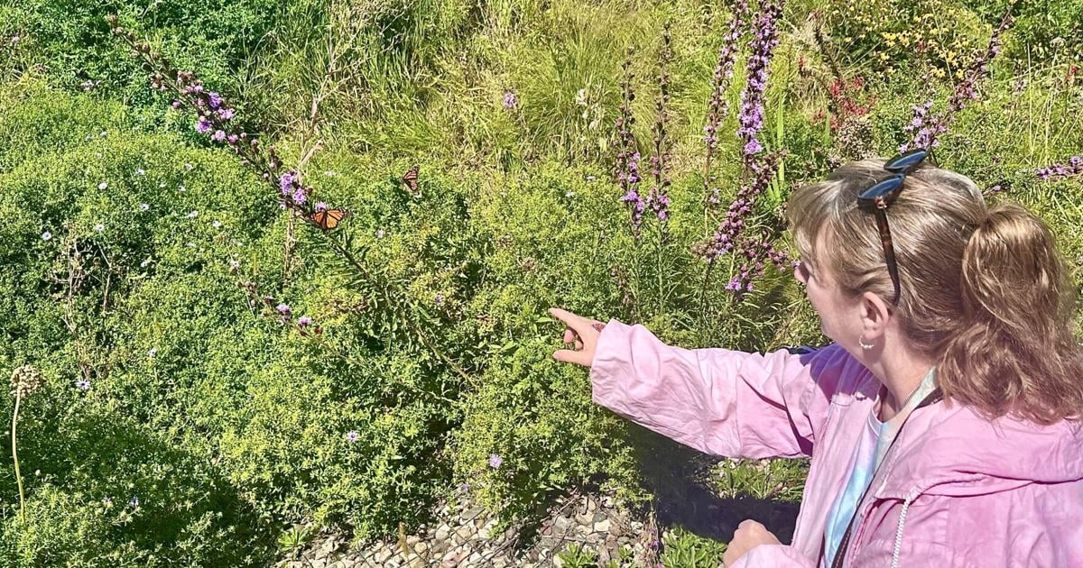 Pollinators Vip Partners for Pollinators hosts 3rd annual Monarchs at the Mill event ...