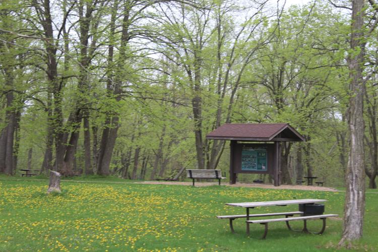 Friends of Nerstrand Big Woods State Park celebrate 10 years of nature