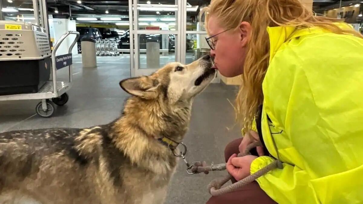 She lost her government job, but gained a government dog named Party Pants