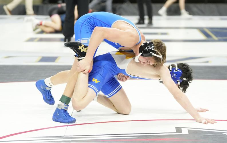 Fischer’s 5th place finish highlights state wrestling for the Huskies ...