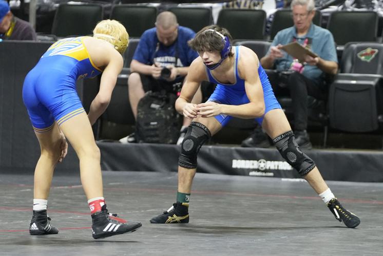 Fischer’s 5th place finish highlights state wrestling for the Huskies ...