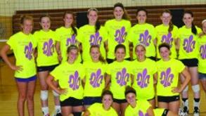 St Peter Volleyball Coach Picks Team As Conference Favorite Sports Southernminn Com