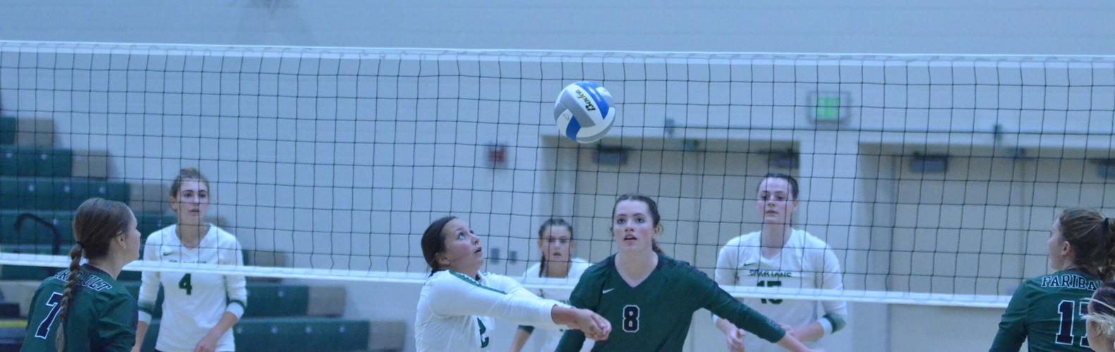 3rd set win shows Falcon volleyball's mettle | Sports | southernminn.com