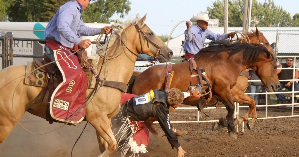 PHOTOS: Grandstands fill up for rodeo at Rice County Fair | News ...