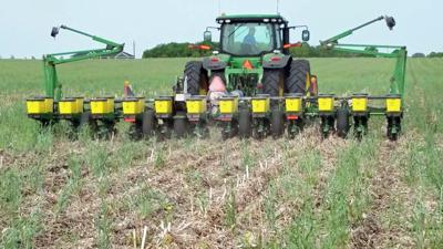 Improving Water Quality A Top Reason For Farmers Planting Cover