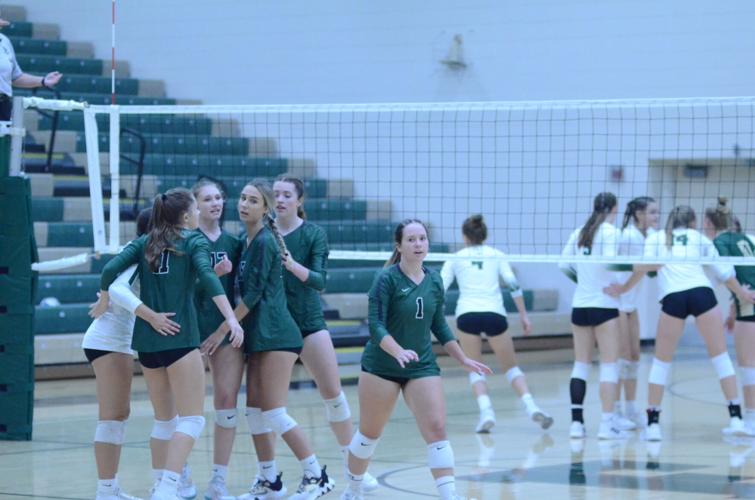 3rd set win shows Falcon volleyball's mettle | Sports | southernminn.com