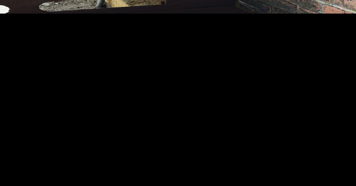 Morgan Petersen | Virtual Graduations | southernminn.com