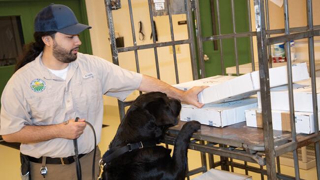 Detector Dogs: Agriculture’s Best Friend