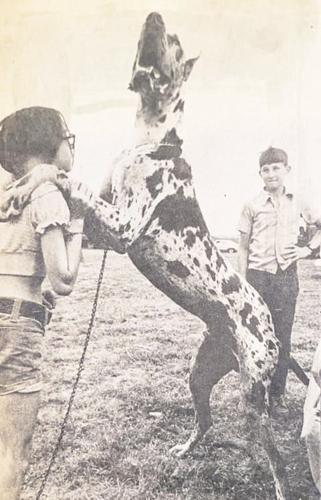 8.12 Nicollet County Fair History - Obedience Champ