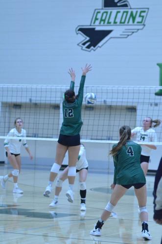 3rd set win shows Falcon volleyball's mettle | Sports | southernminn.com