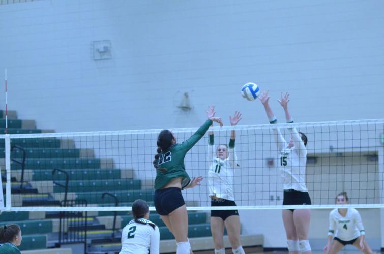3rd set win shows Falcon volleyball's mettle | Sports | southernminn.com
