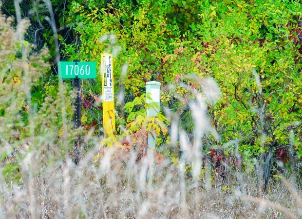 Rice County officials: New rural address signs a benefit, not a ...