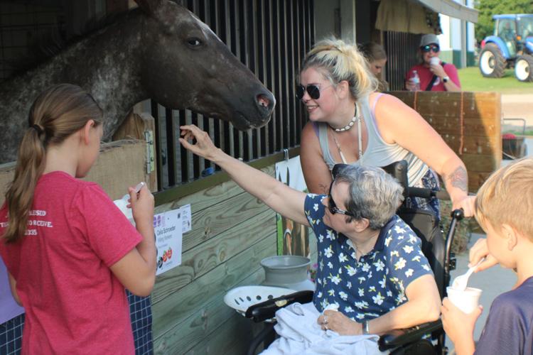 Crowds come to Le Sueur County Fair for carnival, animals and