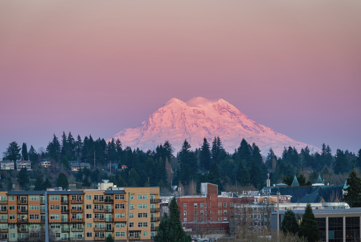 Spotlight on Thurston County Profiles