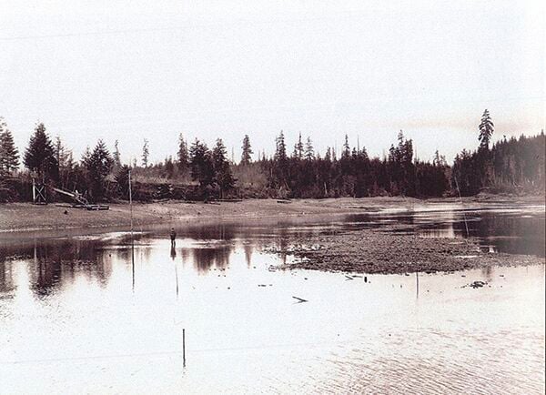 Little Skookum Shellfish Growers: Harvesting History | News ...