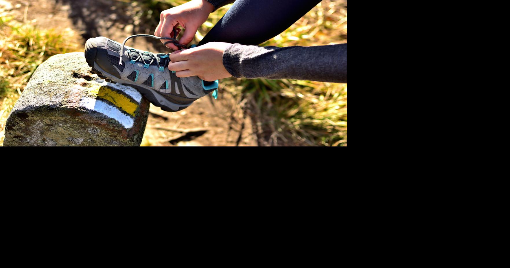 New Section of Point Defiance Park Loop Trail Complete; Ribbon-Cutting Ceremony Date Set
