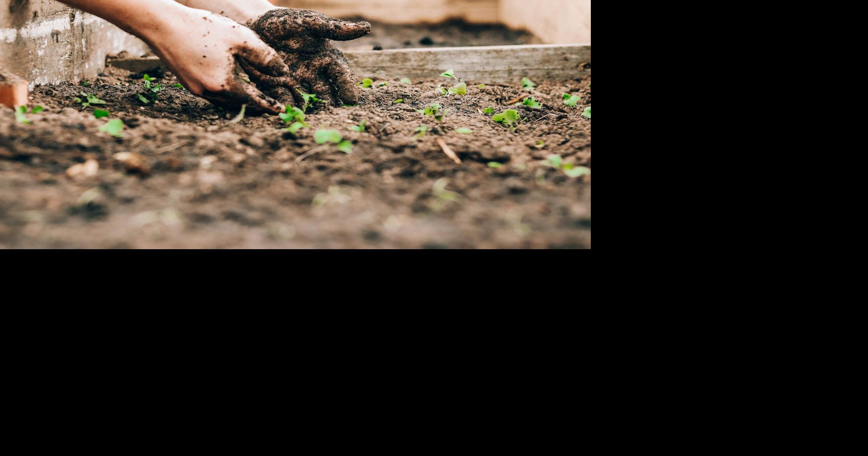 Tacoma's Making a Difference Foundation Receives Grant for Garden Initiative