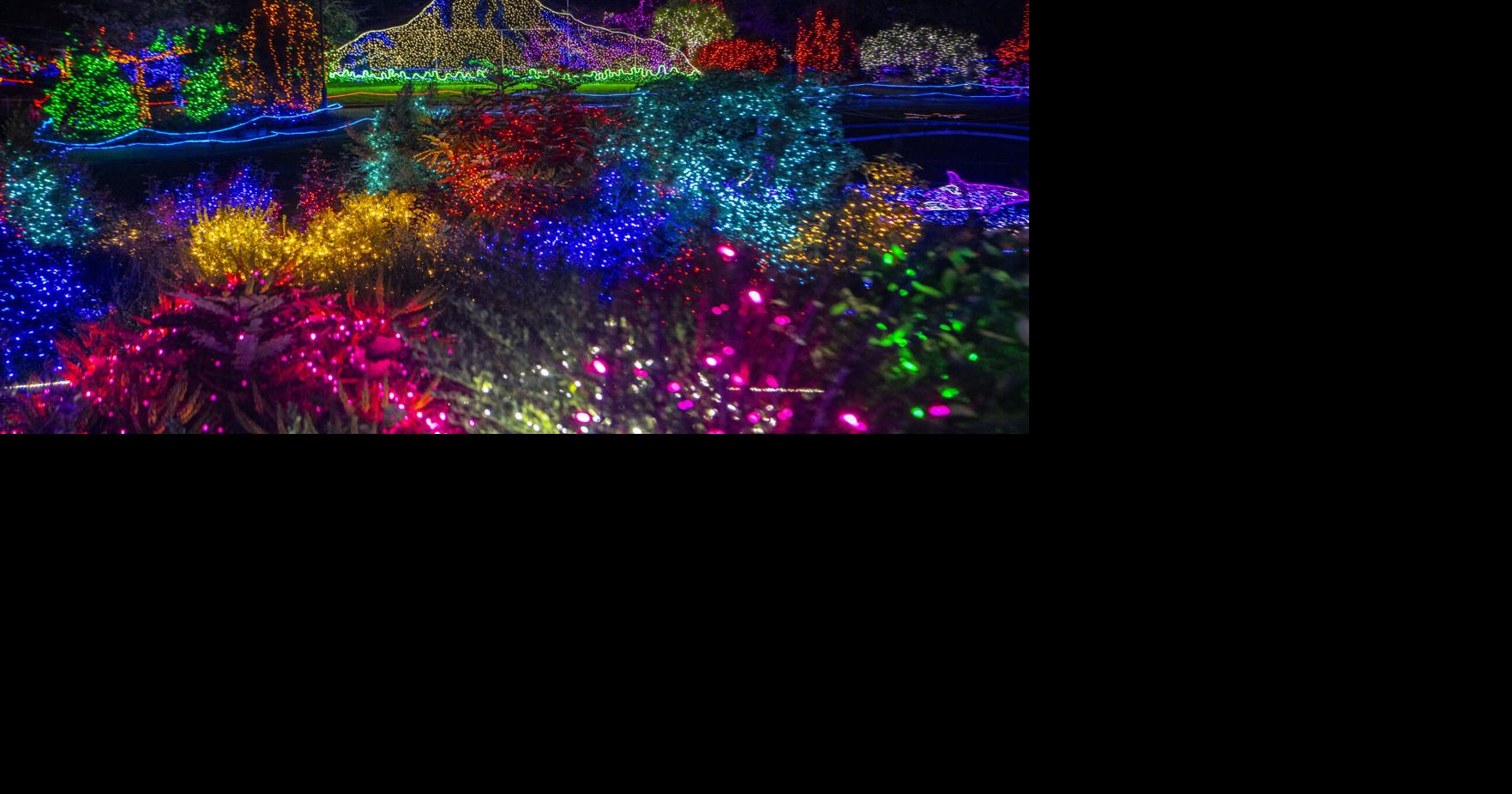 PDZA's Zoolights is Ready for the Holiday Season | Travel + Outdoors ...