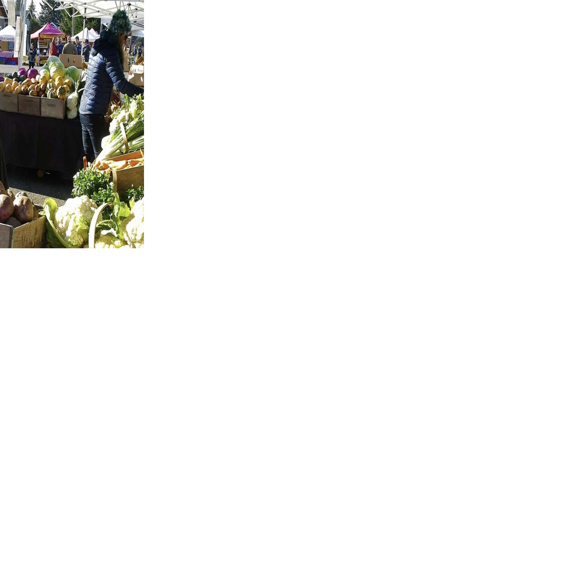 Sip & Savor: The Proctor Winter Market's Return, Paint and Sip, and Hot Cocoa