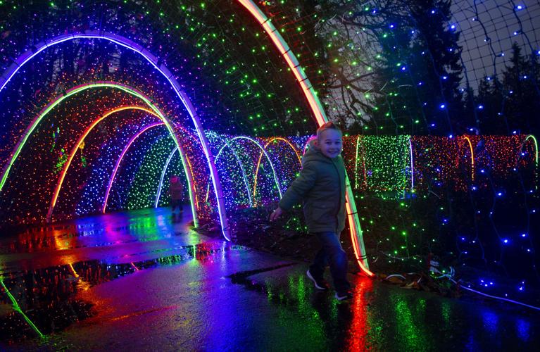 Zoolights Bringing Its Holiday Magic Back A&E