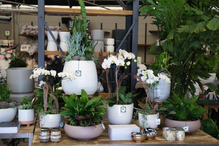 Watson’s Greenhouse and Nursery Expands to Federal Way Home + Garden