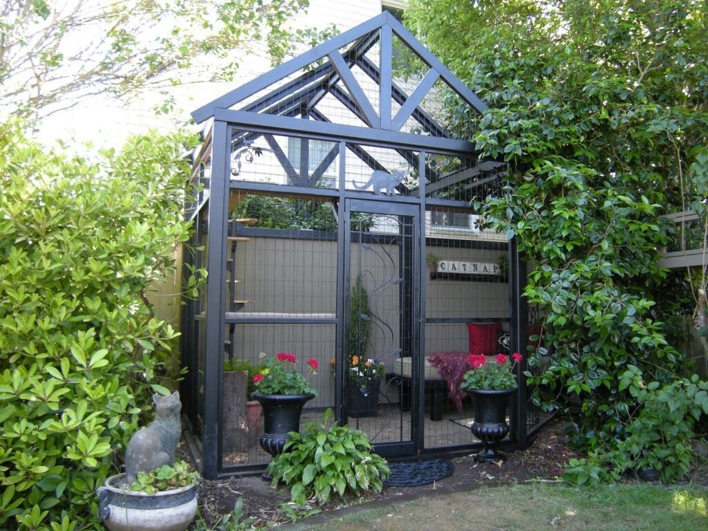 patio catio