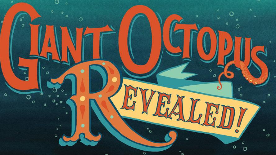 Giant Octopus Revealed A E Southsoundmag Com Giant Octopus Revealed A E Southsoundmag Com