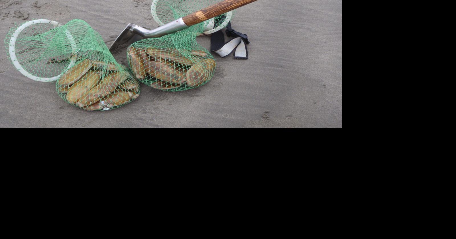 Ocean Shores Razor Clam & Seafood Festival Returns Eat + Drink