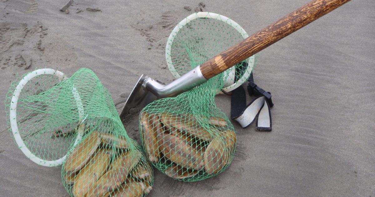 Ocean Shores Razor Clam & Seafood Festival Returns Eat + Drink