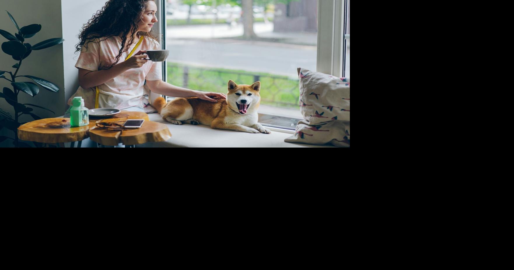 Tips to Keep Yourself — and Your Pets
