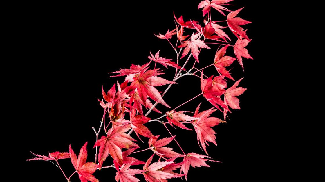 Bundle Up and Garden | Home + Garden Bundle Up and Garden | Home + Garden