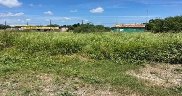 Mathis declares local state of emergency due to overgrown weeds