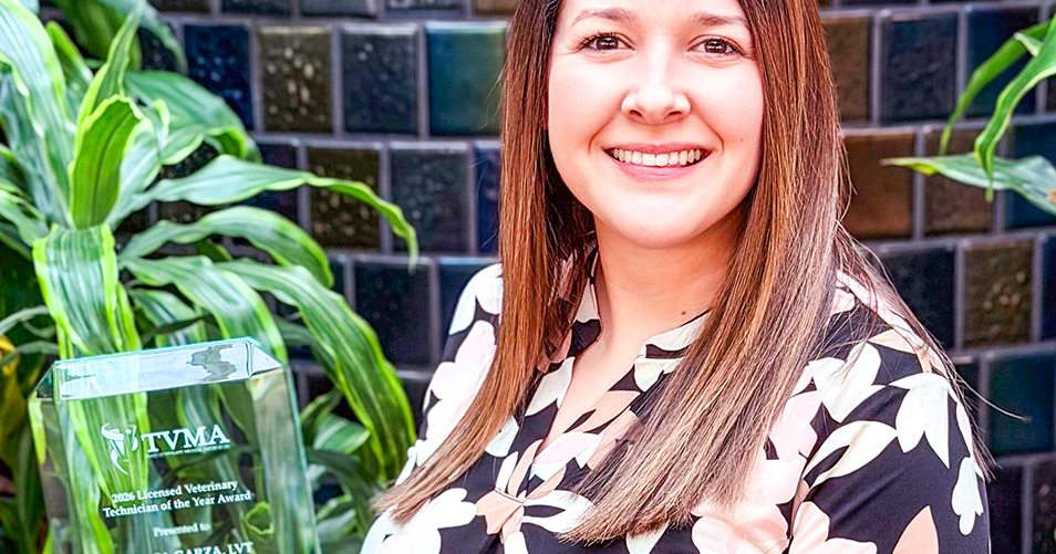 Blinn Veterinary Technology Program Director named Licensed Veterinary Technician of the Year