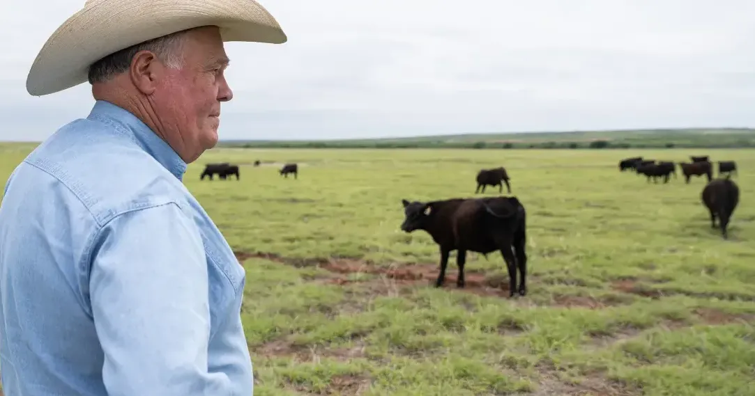 No fat to trim: Texas beef industry profits eaten away by new threat – the screwworm