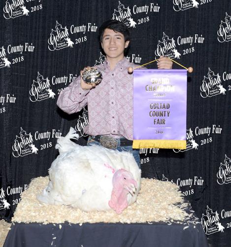 Goliad 2018 Grand Champion livestock | News | southtexasnews.com
