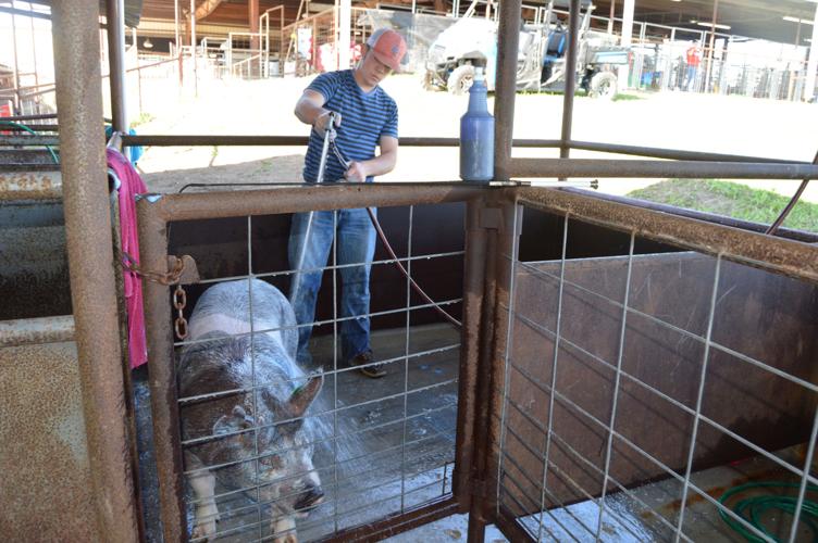 Live Oak County Fair & Rodeo in pictures Entertainment & Society