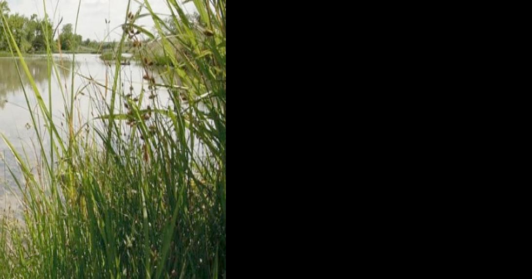 NRCS Texas announces additional signup period for 2024 National Water