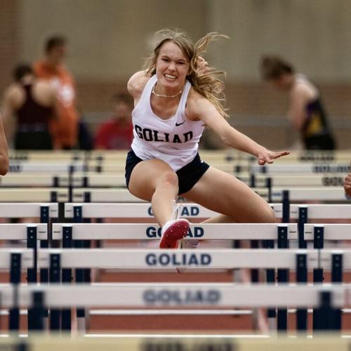 LILY'S TALLEST HURDLE
