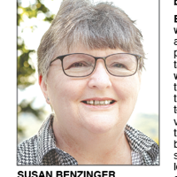 Kelly Benzinger ELECTION: Susan Benzinger for District 100 delegate | News ...
