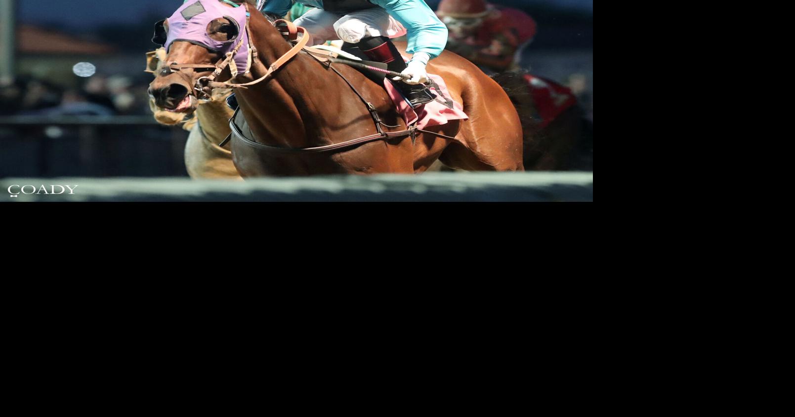 Charles Town releases 2026 live racing schedule | Sports ...