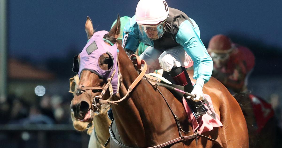 David Raim Rakdui Charles Town releases 2026 live racing schedule | Sports ...