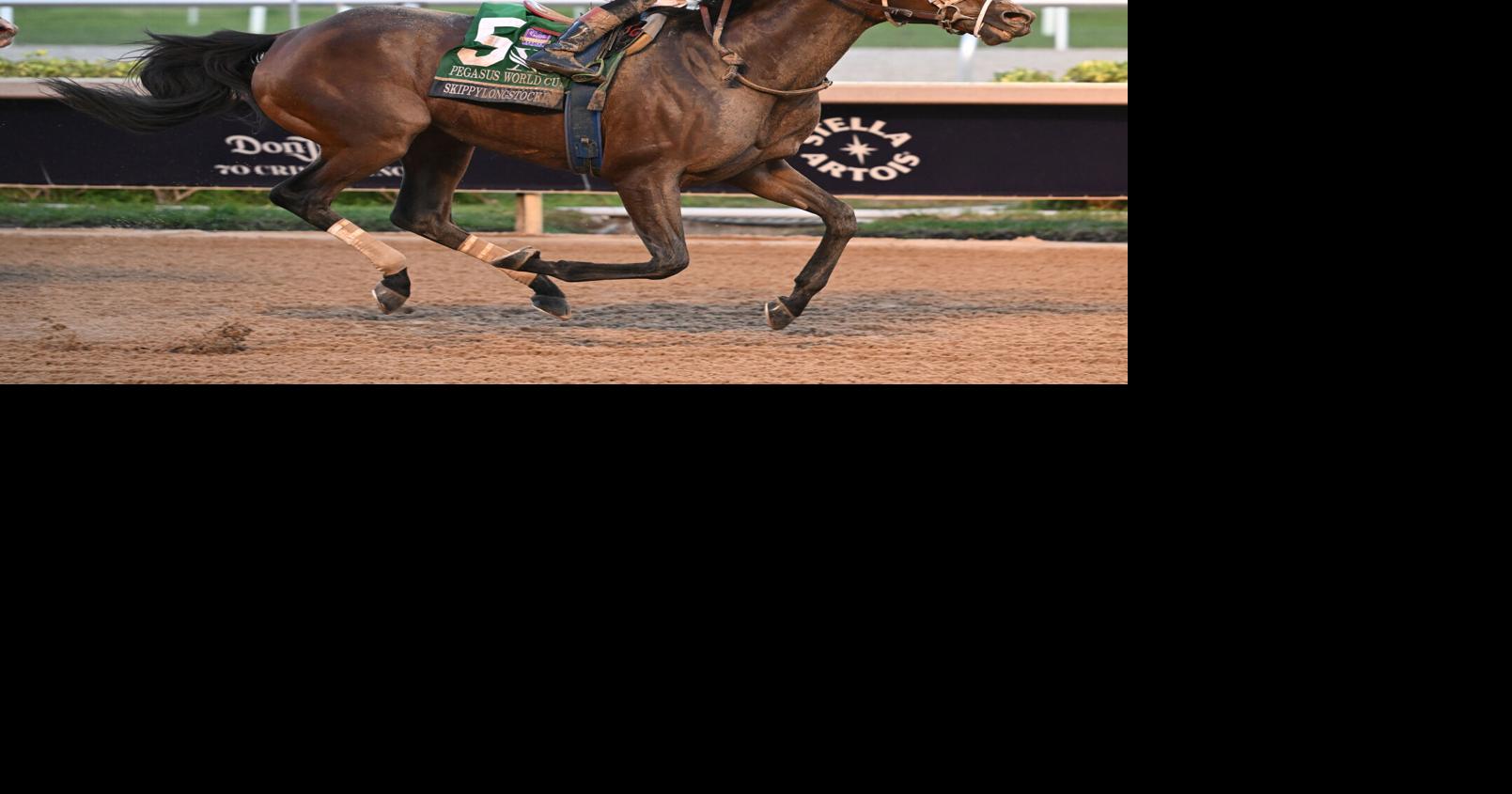 Skippylongstocking stuns in 21-1 upset at Gulfstream Park, secures $3M Pegasus World Cup Invitational