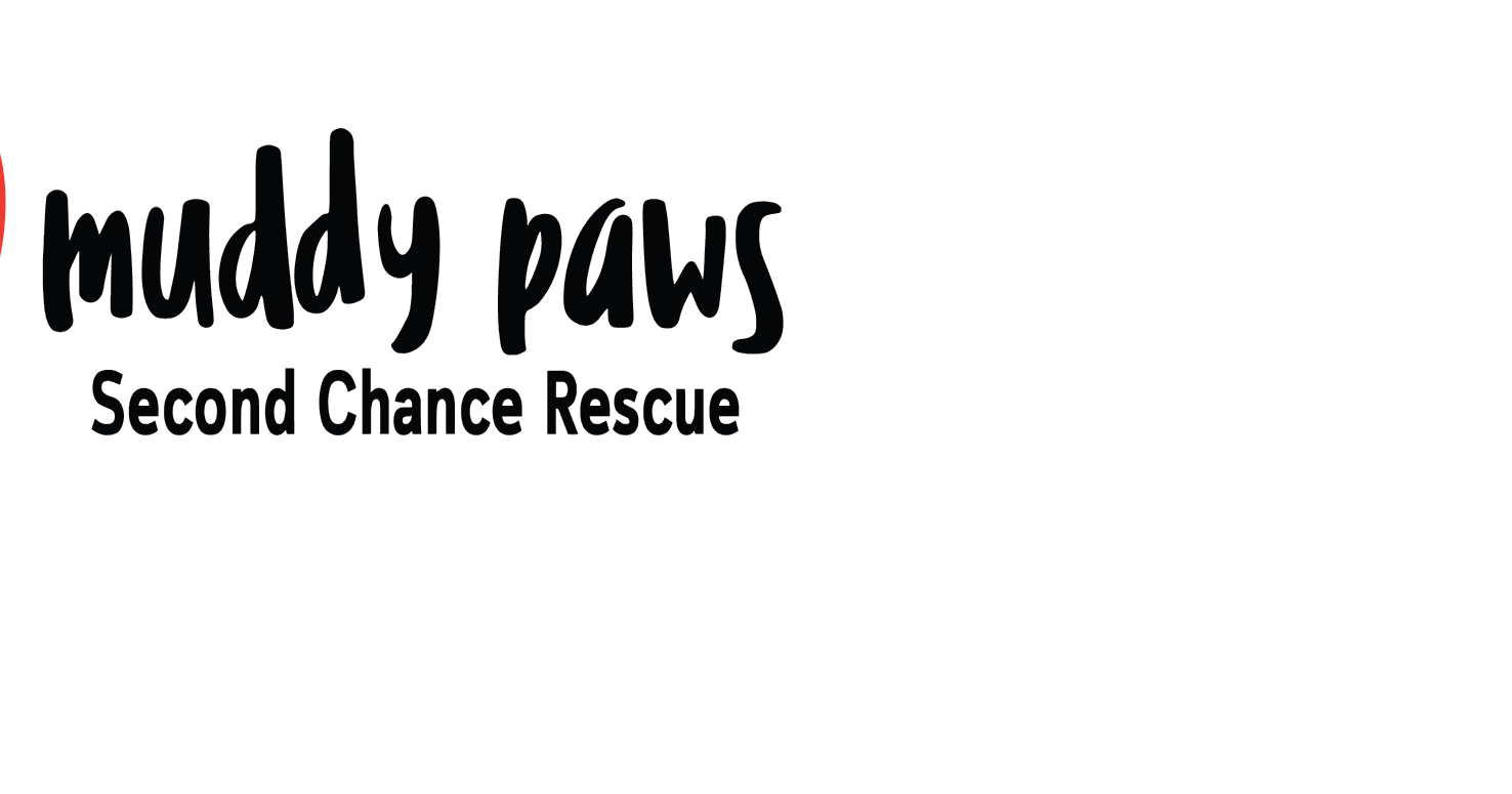 Nonprofit Profile Muddy Paws Second Chance Rescue TGGEB24 The Event Book