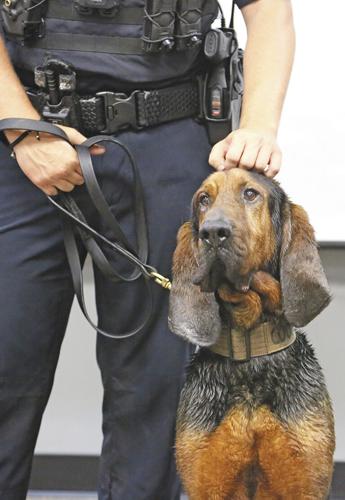 Police dogs retire with honors